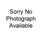 All Self-Fire Fireworks