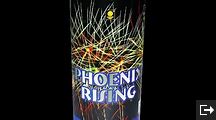 phoenix rising fountain