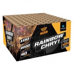 Rainbow Chry mega 100 shot cake